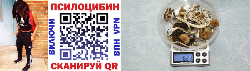 Галлюциногенные грибы мухоморы  Стрежевой 